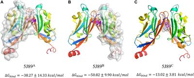 Predicting a Kind of Unusual Multiple-States Dimerization-Modes Transformation in Protein PD-L1 System by Computational Investigation and a Generalized Rate Theory